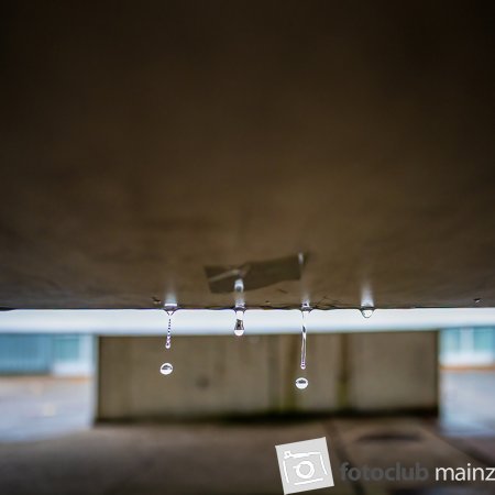 2025 Hombroich &amp; Düsseldorf - Jutta Wirthl: &quot;Es gibt kein schlechtes Wetter&quot;